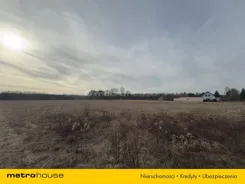 SGJEMI317 - zdjęcie nr 3