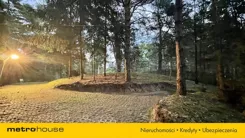 SGKALY433 - zdjęcie nr 3