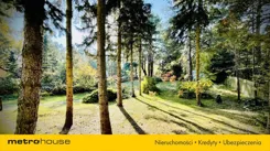 SGKALY433 - zdjęcie nr 4