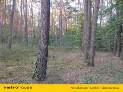 SGMUKO455 - zdjęcie nr 0