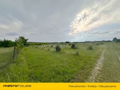 SGRIBU586 - zdjęcie nr 0