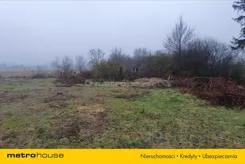 HAZI599 - zdjęcie nr 3