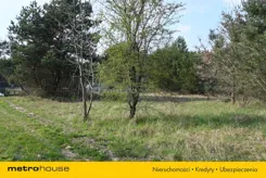 SGDUCU243 - zdjęcie nr 1