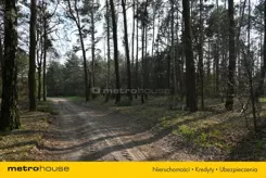 SGFUDA415 - zdjęcie nr 4