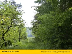 SGNEHA509 - zdjęcie nr 2