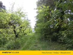 SGNEHA509 - zdjęcie nr 4
