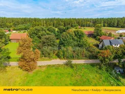 SGVEJI432 - zdjęcie nr 0
