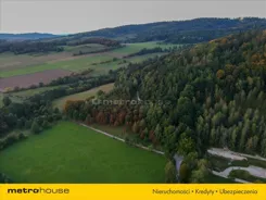 REPU400 - zdjęcie nr 2