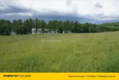 GIDI483 - zdjęcie nr 3