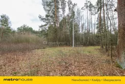 SGSOSO695 - zdjęcie nr 1