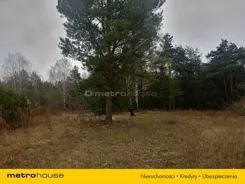 SGFOPO638 - zdjęcie nr 2