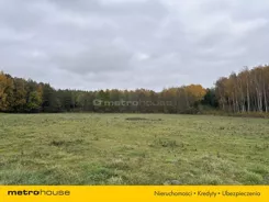 SGTEZY883 - zdjęcie nr 0