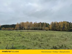 SGTEZY883 - zdjęcie nr 3