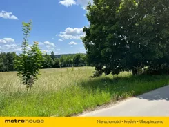 SGPOZY800 - zdjęcie nr 3