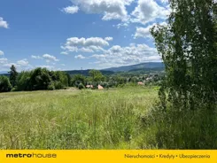 SGPOZY800 - zdjęcie nr 4