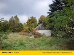 TAXU622 - zdjęcie nr 4