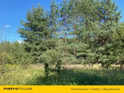 SGSOHA950 - zdjęcie nr 0
