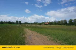 SUZA925 - zdjęcie nr 3