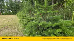 SGFEKU758 - zdjęcie nr 1