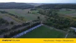 SGLARA761 - zdjęcie nr 1