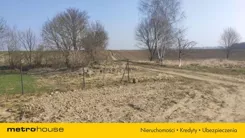 SGDEBA685 - zdjęcie nr 1
