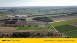SGPALA189 - zdjęcie nr 2