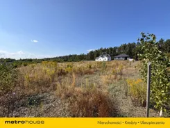 SGTEPI376 - zdjęcie nr 3