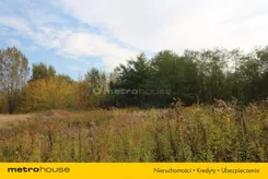 SGCUJO802 - zdjęcie nr 1