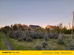 SGLIDA401 - zdjęcie nr 4