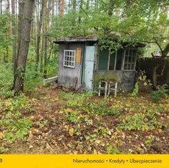 SGGOLU562 - zdjęcie nr 3
