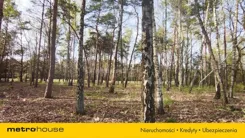 SGTORU134 - zdjęcie nr 0