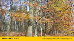 SGMOBU654 - zdjęcie nr 4