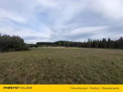 SGPOSY501 - zdjęcie nr 3