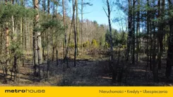 SGKOMA992 - zdjęcie nr 2