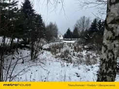 SGSOCY942 - zdjęcie nr 3
