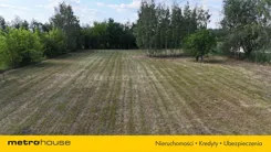 SGKAPU393 - zdjęcie nr 3