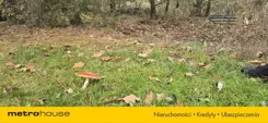 SGNODO764 - zdjęcie nr 0