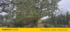 SGNODO764 - zdjęcie nr 2