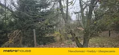 SGNODO764 - zdjęcie nr 3
