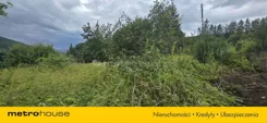 SGKIGI136 - zdjęcie nr 2