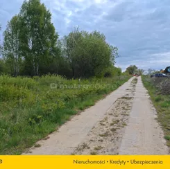 SGSIDE444 - zdjęcie nr 3