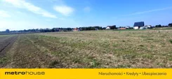 SGJEKE344 - zdjęcie nr 2