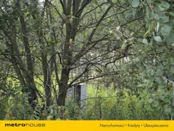 SGCAMU168 - zdjęcie nr 4