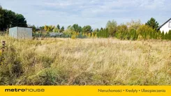 SGNOKO545 - zdjęcie nr 1