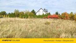 SGNOKO545 - zdjęcie nr 3