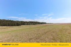 SGPOJU579 - zdjęcie nr 1