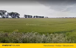 CINU993 - zdjęcie nr 4