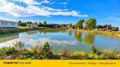 SGZELY510 - zdjęcie nr 3