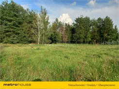 KYWY284 - zdjęcie nr 3