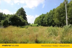 TOPO974 - zdjęcie nr 2